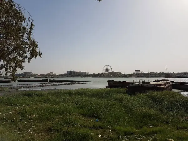 Basra Irák Duben 2016 Fotografie Stromů Postranním Chodníku Basra City — Stock fotografie