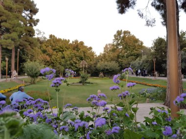 Şiraz, İran - 12 Nisan 2017: Şiraz şehrindeki güzel bahçelerin turizm fotoğrafı