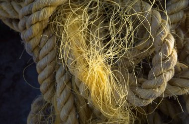 Basra, Irak - 11 Haziran 2021: Basra şehrindeki geleneksel balık pazarının fotoğrafı