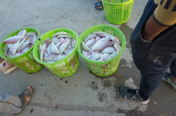 Basra Irak Juni 2021 Foto Des Traditionellen Fischmarktes Der Stadt — Stockfoto