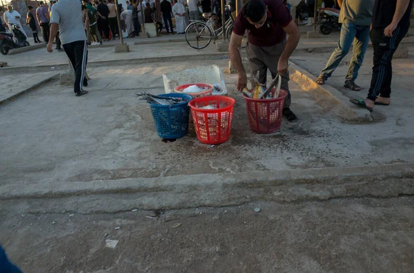 Basra Iraq June 2021 Photo Traditioal Fish Market Basra City — 스톡 사진