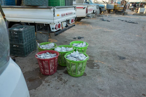 Basra Irak Juni 2021 Foto Des Traditionellen Fischmarktes Der Stadt — Stockfoto