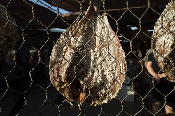 Basra Iraq June 2021 Photo Traditioal Fish Market Basra City — 스톡 사진