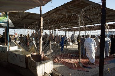 Basra, Irak - 11 Haziran 2021: Basra şehrindeki geleneksel balık pazarının fotoğrafı