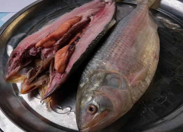 Phto Pescado Crudo Elish Listo Para Parrilla —  Fotos de Stock