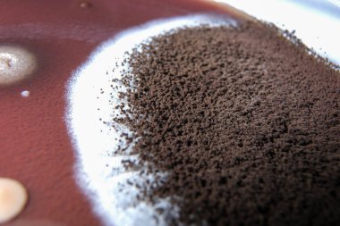 Çikolata tabağında büyüyen mantarların makro fotoğrafı.