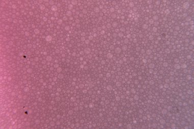 renkli sabun köpüğünün makro fotoğrafı