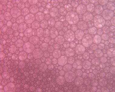 renkli sabun köpüğünün makro fotoğrafı