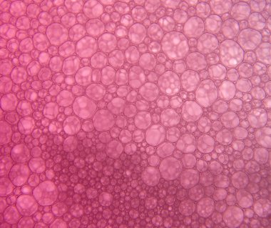 renkli sabun köpüğünün makro fotoğrafı