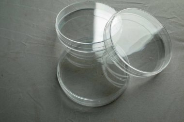 Boş plastik Petri kapları 