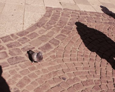 Milano caddesinde tur fotoğrafları