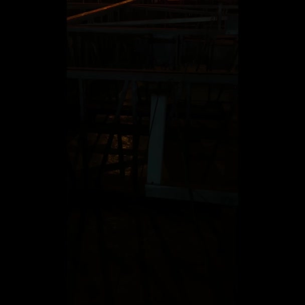 Фотографія Імама Хусейна Місті Карбела Церемонії Паломництва Арбейна — стокове відео