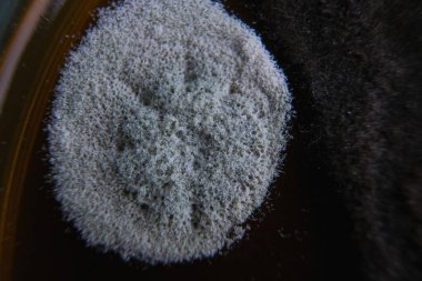 Koyu bir yüzey üzerinde dairesel gri toz yığınının yakın çekim görüntüsü, desen ve detay sunar.