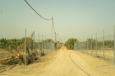 Temiz bir gökyüzünün altında, her iki tarafında palmiye ağaçları olan çitli bir alana uzanan toprak bir patika.