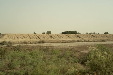 Kuru, çorak bir arazi, kumlu bir sırt ve seyrek bir bitki örtüsü. Gökyüzü puslu, kurak koşulları gösteriyor. Ön planda alçak çalılar ve kuru toprak yer alırken, arka planda ağaçlarla çevrili düz bir sırt görünüyor..