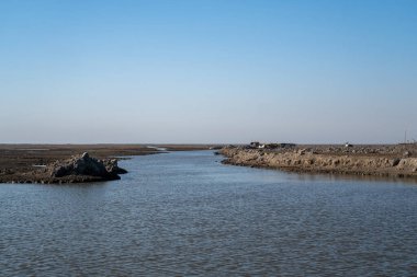 Nasiriye, Irak - 20 Kasım 2025: Chibayish Bataklıklarında Şiddetli Su Durgunluğu ve Çölleşme Göstergesi