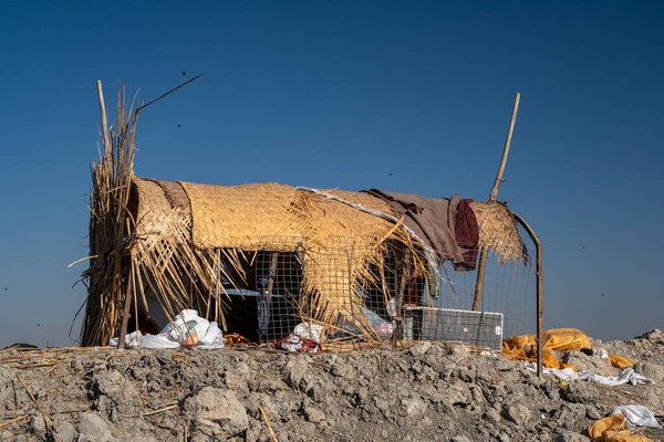 Убежище Баффало и Орари Рида на болотистой окраине