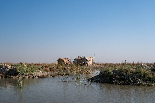 Убежище Баффало и Орари Рида на болотистой окраине