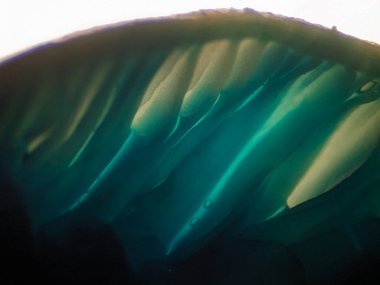 Deniz manzarası çok güzel.