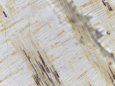 Karmaşık desenlere ve dokulara sahip kristal bir yapının yakın plan görüntüsü, ışık ve karanlık çizgilerin karışımını gösteriyor.