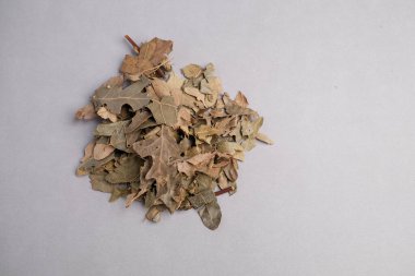 Kurutulmuş Hawthorn Yaprakları ve Çiçeklerinin Macro Still Hayatı (Crataegus spp.) Geleneksel Kalp Sağlığı Bitkilerinde Geniş Kullanım.