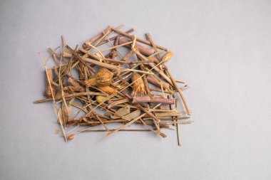 Kurumuş St. John 's Wort Flower Heads' in (Hypericum perforatum) Botanik Makro Görüntüsü.