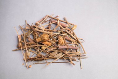 Kurumuş St. John 's Wort Flower Heads' in (Hypericum perforatum) Botanik Makro Görüntüsü.