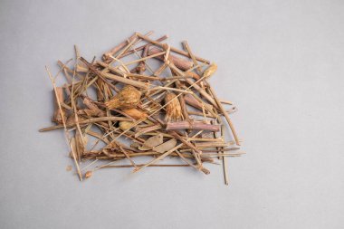 Kurumuş St. John 's Wort Flower Heads' in (Hypericum perforatum) Botanik Makro Görüntüsü.
