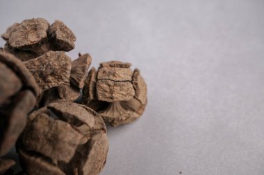 Kurumuş Performans Çiçek Başlıklarının Bilimsel Makro Görüntüsü: Potansiyel Bitkisel İlaç İçeriğinin Botanik Detayları.