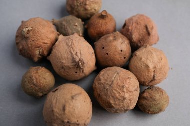 Doğal Kurumuş Meşe Safhalarının Macro Still Hayatı (Quercus Infectoria) Woody Yapısı ve Delikleri Gösteriliyor, Tannins Zengini Mürekkep ve Tıp İçin.