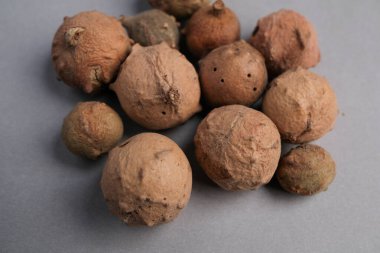 Doğal Kurumuş Meşe Safhalarının Macro Still Hayatı (Quercus Infectoria) Woody Yapısı ve Delikleri Gösteriliyor, Tannins Zengini Mürekkep ve Tıp İçin.