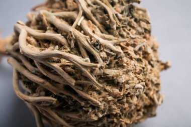 Çöl Flora Uyanışı: Kuru bir Anastatica Hiyerochuntica 'nın Macro Çekimi