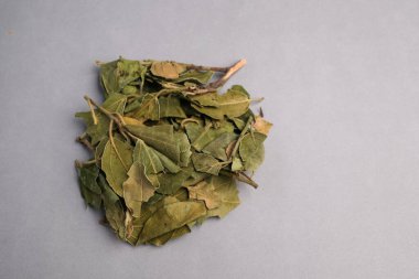 Kurumuş Sidr Yaprakları Yığını (Ziziphus Spina-Christi) Geleneksel Bitkisel ve Kozmetik Hazırlıklarda kullanılan Topraksı Yeşil ve Kahverengi Tonları Gösterir.