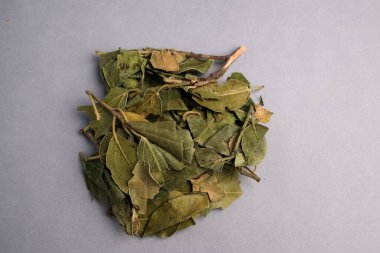 Kurumuş Sidr Yaprakları Yığını (Ziziphus Spina-Christi) Geleneksel Bitkisel ve Kozmetik Hazırlıklarda kullanılan Topraksı Yeşil ve Kahverengi Tonları Gösterir.