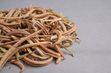 Kurutulmuş Şeytan Pençesi 'nin Makro Yakın Çekimi (Harpagophytum Procumbens) Doğal Bitki İlaçları İçin Meyve Kapsülleri.