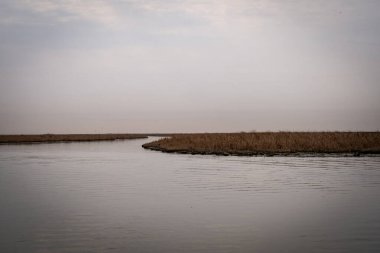 Uçan ve dinlenen çeşitli kuş (muhtemelen balıkçıl / balıkçıl ve martı) türleri ile geniş kuru sazlıklar ile çevrili, huzurlu bir su yolu geniş açılı görünüm