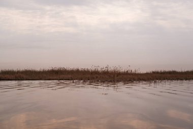Bataklıkların Hidrolojisi: Dalgaların Yayılması ve Yüzey Gerilimi Sarmal Mezopotamya Bataklık Kanalında Dalgalanır