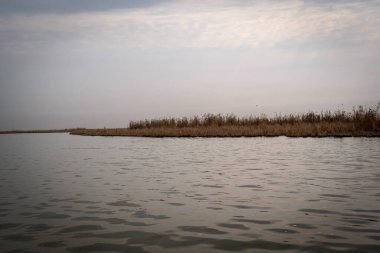 Bataklıkların Hidrolojisi: Dalgaların Yayılması ve Yüzey Gerilimi Sarmal Mezopotamya Bataklık Kanalında Dalgalanır