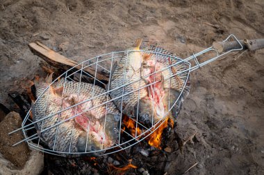 Kültürel Gastronomi: Geleneksel Mezopotamya Masgouf Nehri Sazanı Nehir Kıyısında Açık Orman Ateşi Üzerine Izgara