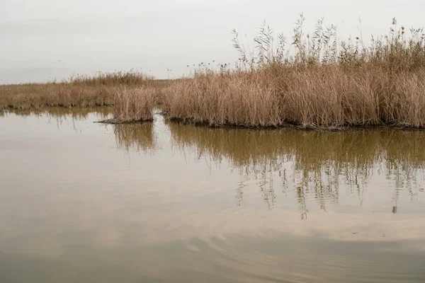 Bataklıkların Hidrolojisi: Dalgaların Yayılması ve Yüzey Gerilimi Sarmal Mezopotamya Bataklık Kanalında Dalgalanır