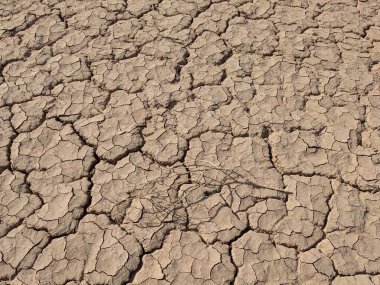 Kurak ya da kurak koşulları gösteren birkaç dal parçasıyla kuru toprak yüzeyi çatlamış.