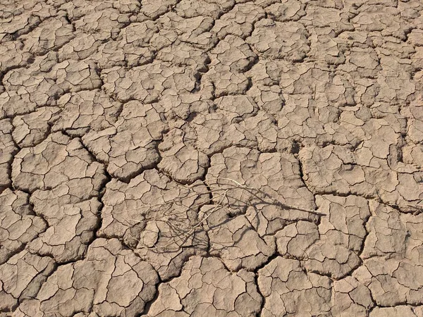 Kurak ya da kurak koşulları gösteren birkaç dal parçasıyla kuru toprak yüzeyi çatlamış.
