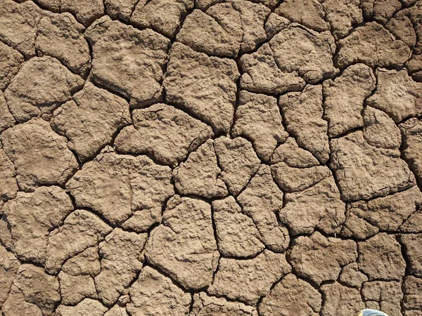 Çatlak kuru toprağın yakın çekim görüntüsü, çatlakların ve dokuların bir desenini gösteriyor.