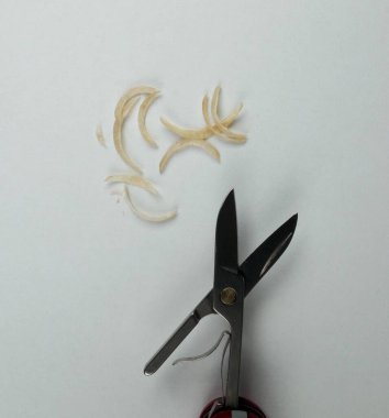 Beyaz bir yüzey üzerinde bir makas, yanında da küçük, kıvrımlı parçalar var.