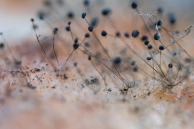 Yüzeyde siyah sporlu kalıpların yakın çekimi, ince detaylar ve dokular sergiliyor.