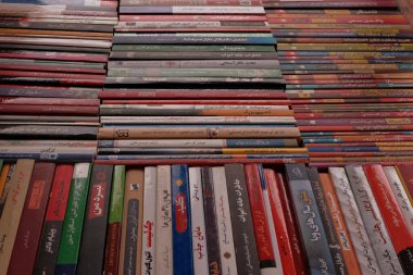 Görünür dikenleri ve kapakları olan, çeşitli başlık ve yazarların sergilendiği, düzgünce dizilmiş renkli kitaplardan oluşan bir derleme.