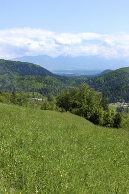 alanlar ve dağlar Alps