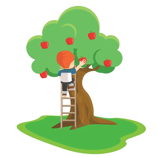 Junge klettert Leiter zum Apfelnehmen — Stockvektor