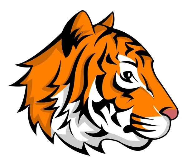 Tiger head — Stock Vector