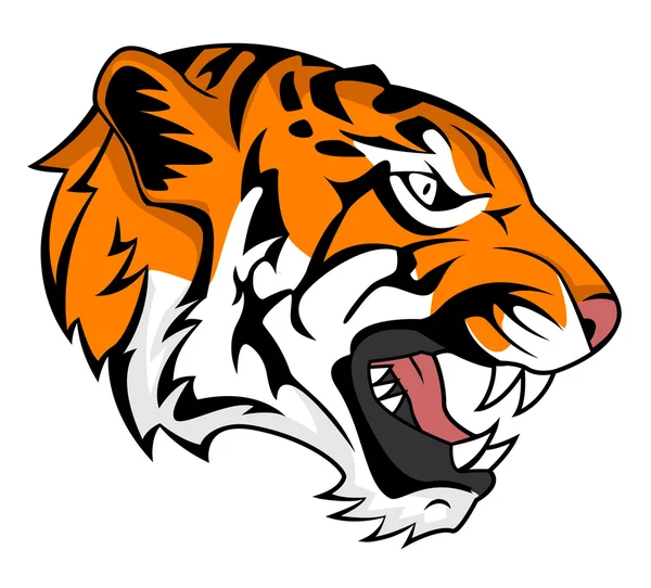 Tiger head — Stock Vector